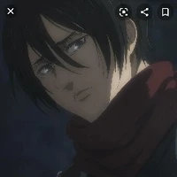 Mikasa
