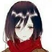 Mikasa Arckeman