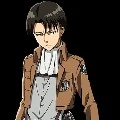 Levi