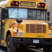 bus driver