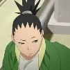 shikadai