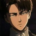 Levi