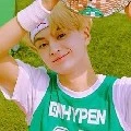 jay