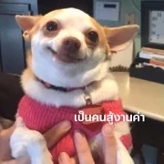 แอด