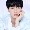 kim seokjin / jin