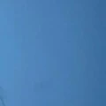Orang