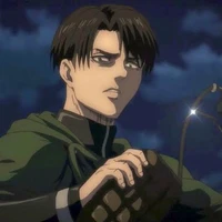 Levi