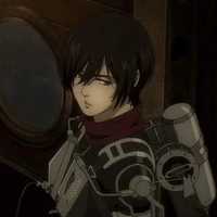 mikasa