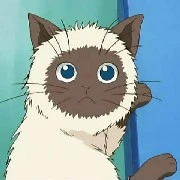 แอด