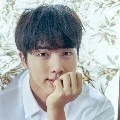 jeon seokjin