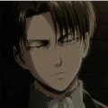 Levi