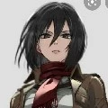 mikasa