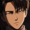 levi