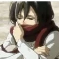 mikasa