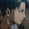 Levi