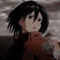 mikasa