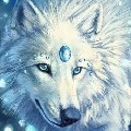 wolfie