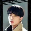 jeon seokjin