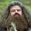 Hagrid