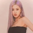 Park Rose