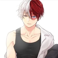 Shoto Todoroki