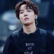 Jung Hoseok/hobi