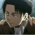 Levi