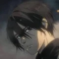 Mikasa