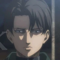 levi