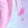 ? ¿ ?