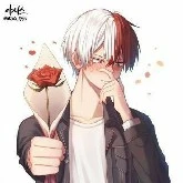 Shoto Todoroki