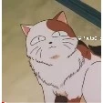 ปุโย