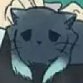 kucing tokito