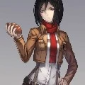 mikasa