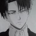 levi