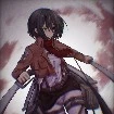mikasa