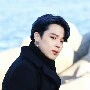 jimin alexandar (5)