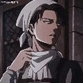 levi