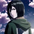 mikasa