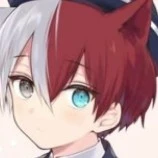 Shoto Todoroki