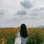 betina 3