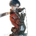 Levi