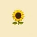 Tantawan 🌻