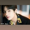 Kim Taehyung Vernandes