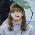 Lalisa Queen alexandra