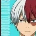 todoroki