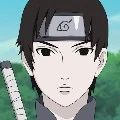 Sai