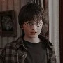 Harry (5 anos)