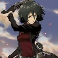 mikasa