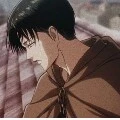 levi